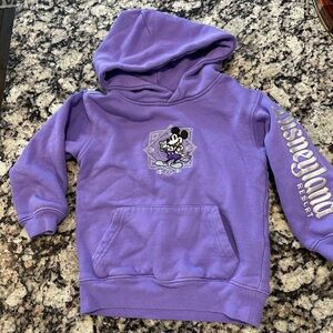 Disney Parks 100 years of wonder. Disneyland toddler hoodie